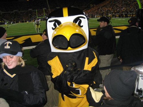 Herky!